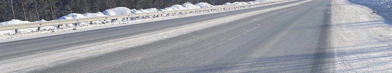 «Бионорд» выбран для зимнего содержания столицы Крыма